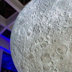 Meet your Posher, Jonah